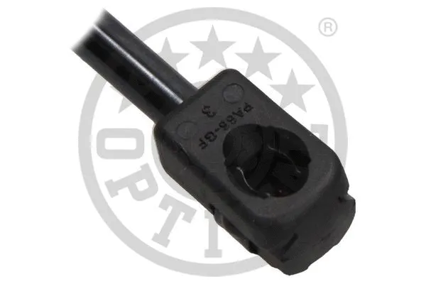 Gas Spring, boot/cargo area