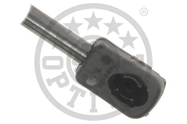 Gas Spring, boot/cargo area