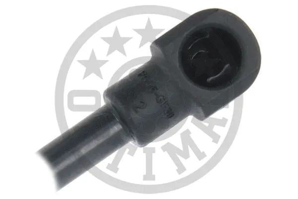 Gas Spring, boot/cargo area