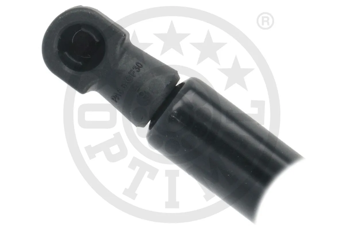 Gas Spring, boot/cargo area