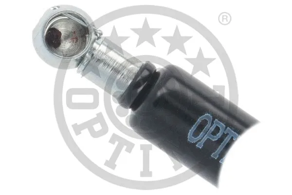 Gas Spring, boot/cargo area