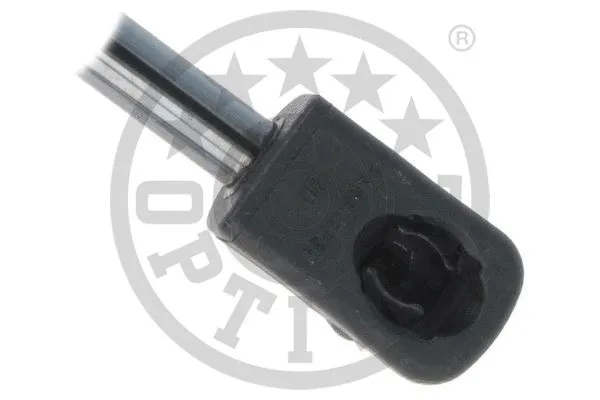 Gas Spring, boot/cargo area