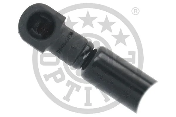 Gas Spring, boot/cargo area