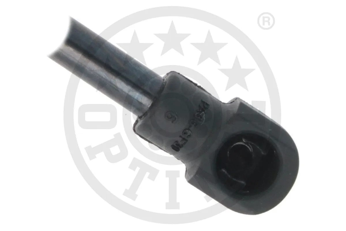 Gas Spring, boot/cargo area