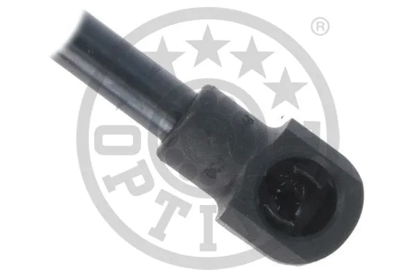 Gas Spring, boot/cargo area