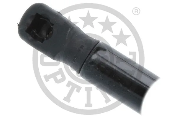 Gas Spring, boot/cargo area