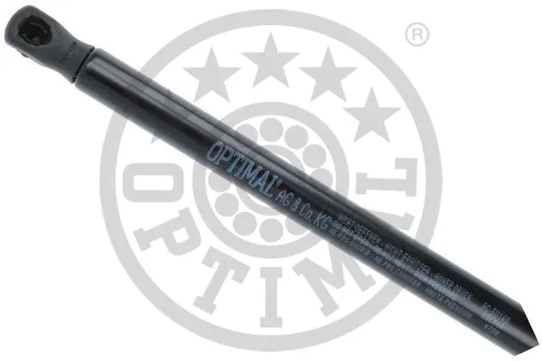 Gas Spring, boot/cargo area