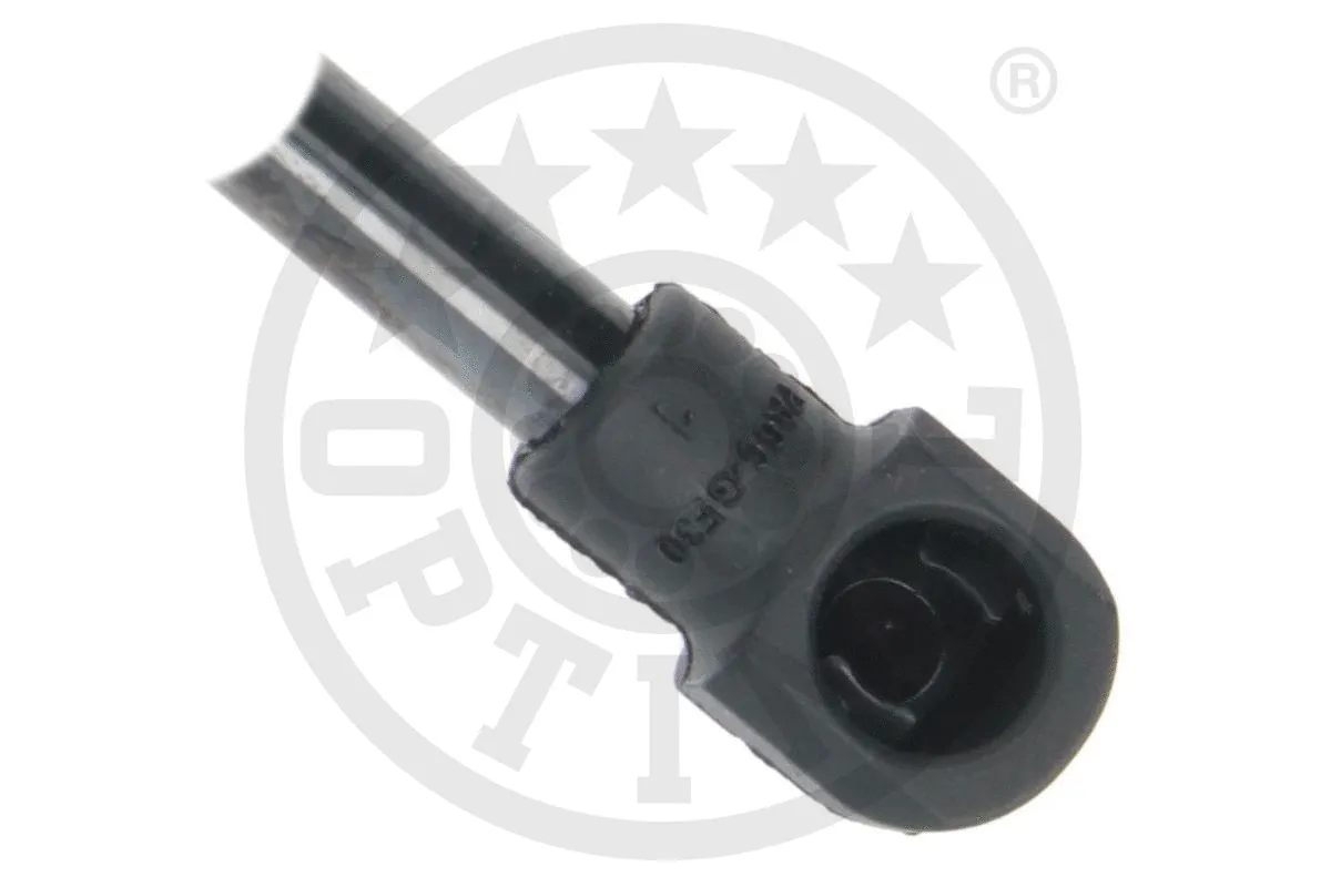 Gas Spring, boot/cargo area