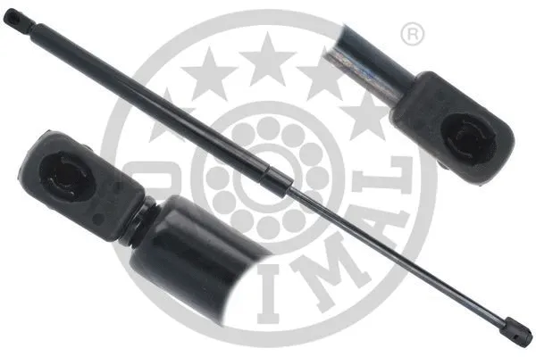 Gas Spring, boot/cargo area (AG-51642)