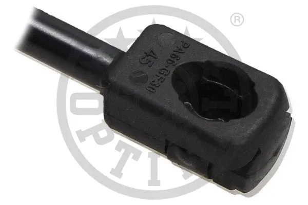 Gas Spring, boot/cargo area