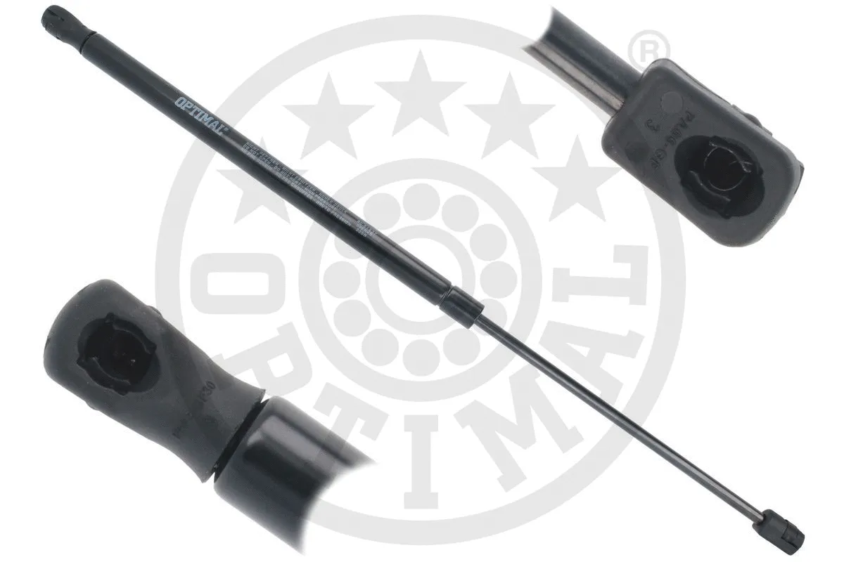 Gas Spring, boot/cargo area (AG-51537)