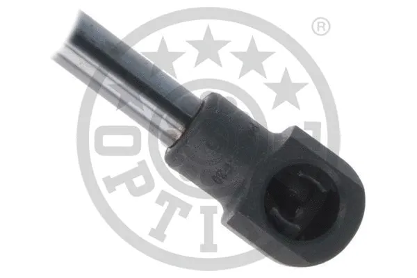 Gas Spring, boot/cargo area