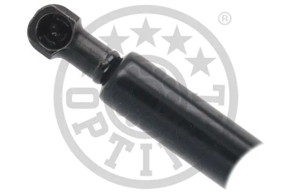 Gas Spring, boot/cargo area