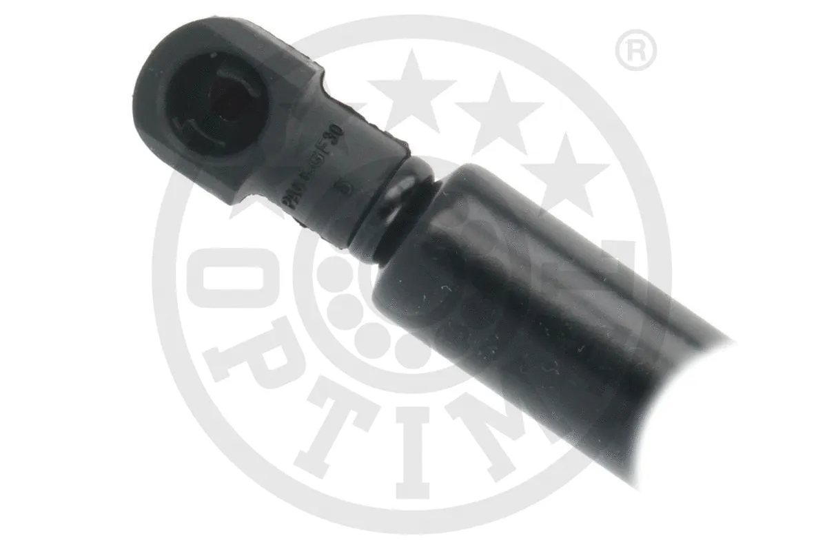 Gas Spring, boot/cargo area