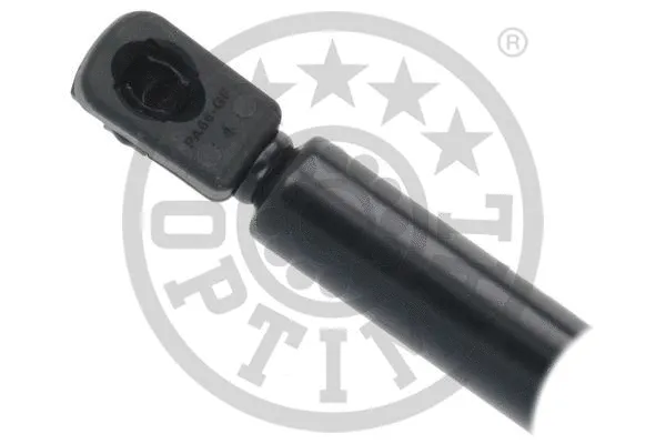 Gas Spring, boot/cargo area