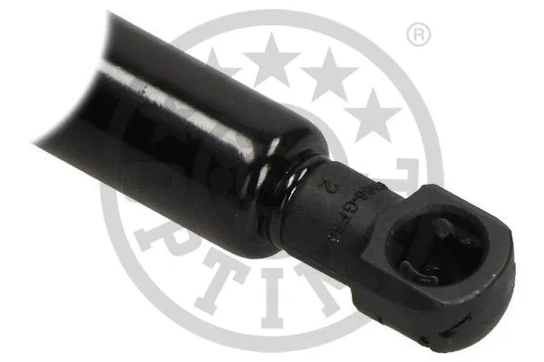 Gas Spring, boot/cargo area