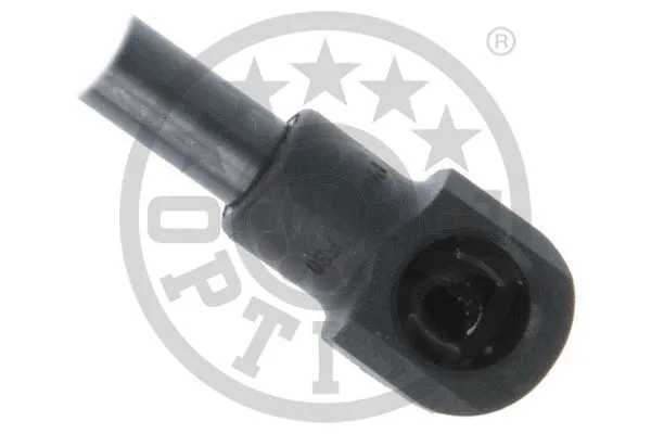 Gas Spring, boot/cargo area