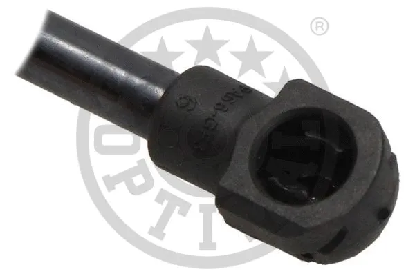 Gas Spring, boot/cargo area