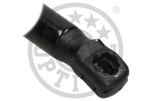 Gas Spring, boot/cargo area