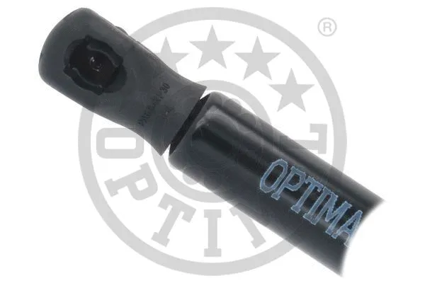 Gas Spring, boot/cargo area