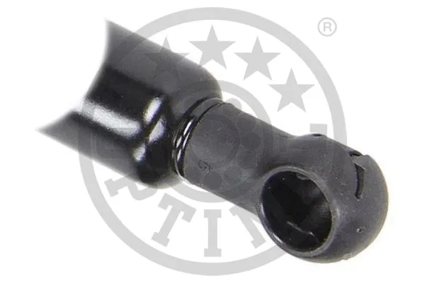 Gas Spring, boot/cargo area