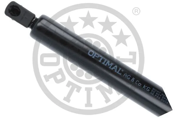 Gas Spring, boot/cargo area