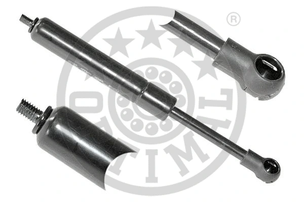 Gas Spring, boot/cargo area (AG-39013)