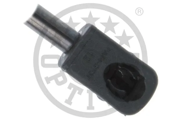 Gas Spring, boot/cargo area