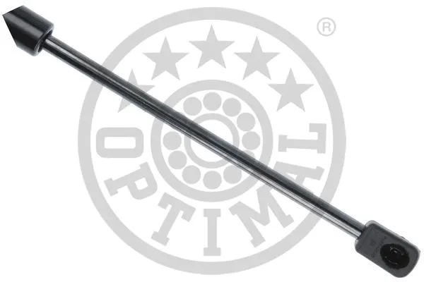 Gas Spring, boot/cargo area