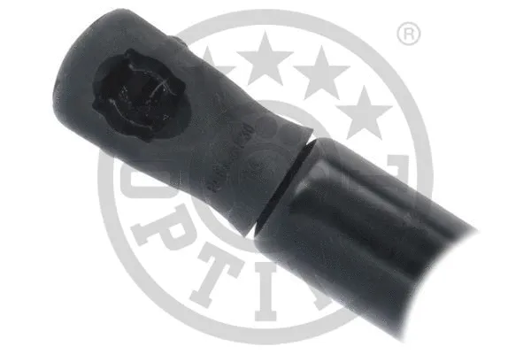 Gas Spring, boot/cargo area