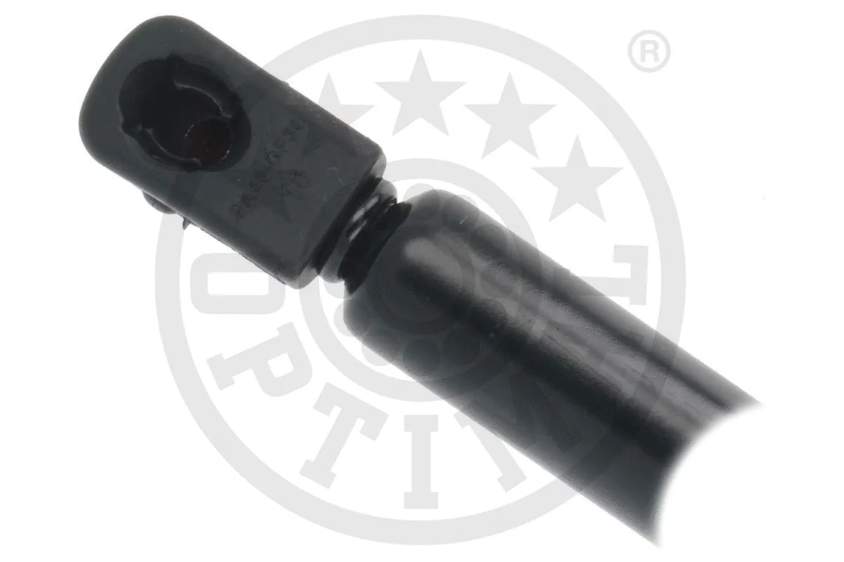 Gas Spring, boot/cargo area