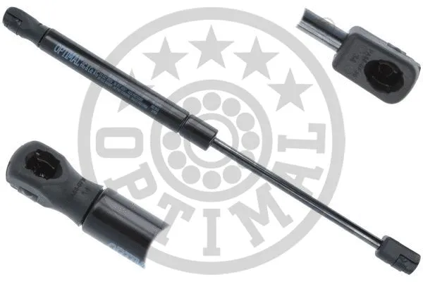 Gas Spring, boot/cargo area (AG-50771)