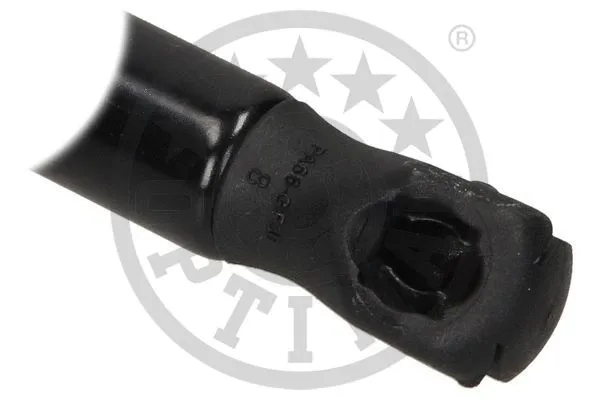 Gas Spring, boot/cargo area