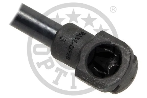 Gas Spring, boot/cargo area