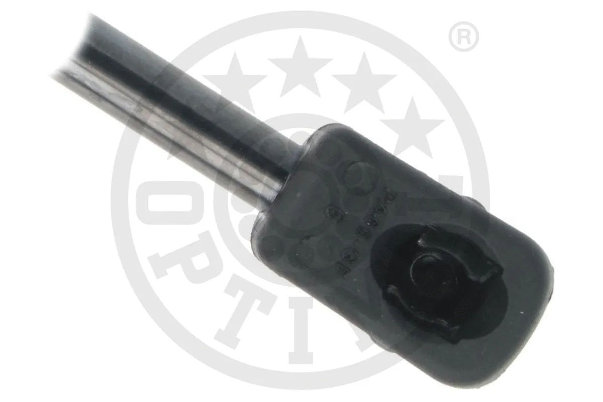 Gas Spring, boot/cargo area