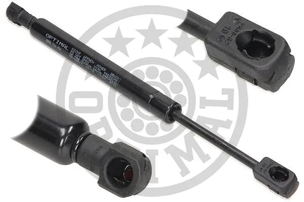 Gas Spring, bonnet (AG-40217)