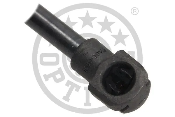 Gas Spring, boot/cargo area