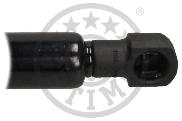 Gas Spring, boot/cargo area