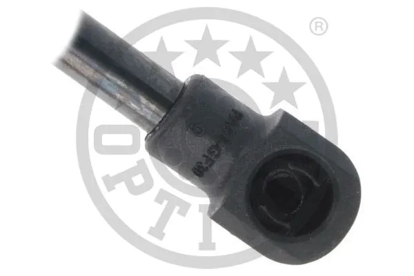 Gas Spring, boot/cargo area