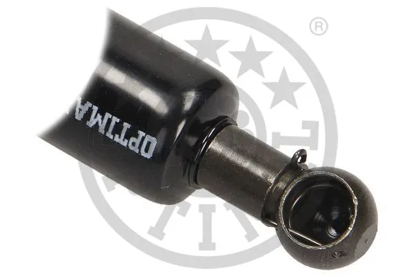 Gas Spring, boot/cargo area