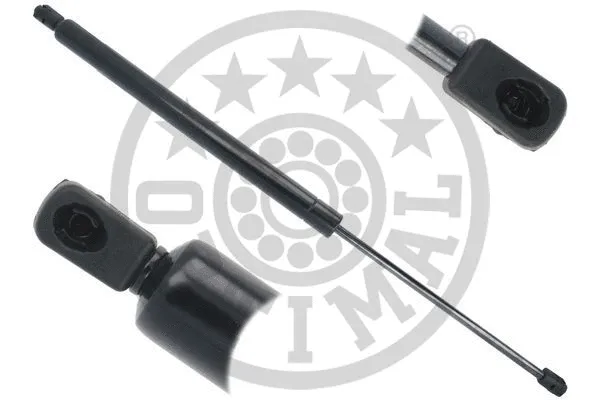 Gas Spring, boot/cargo area (AG-51829)