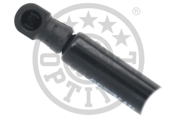 Gas Spring, boot/cargo area
