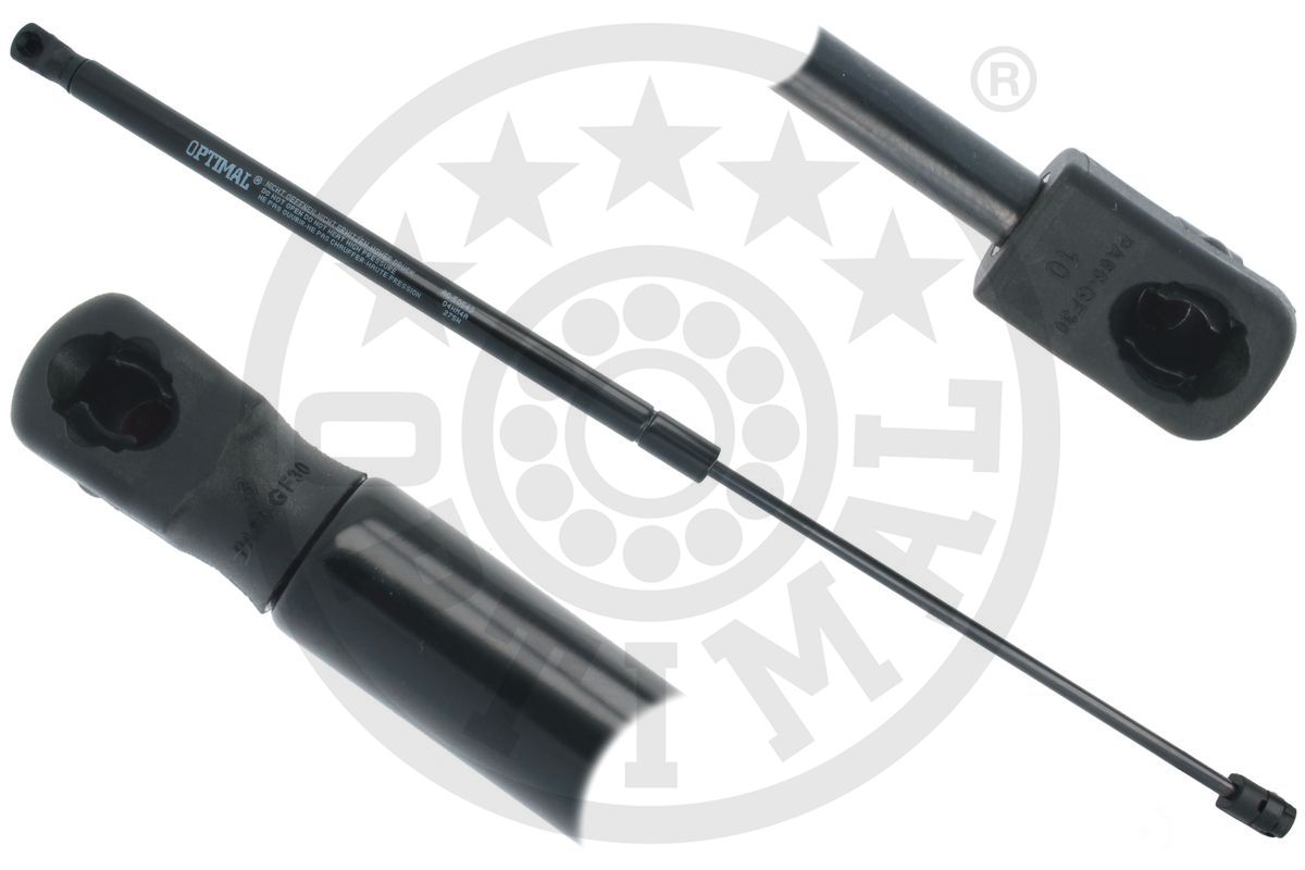 Gas Spring, boot/cargo area (AG-50543)