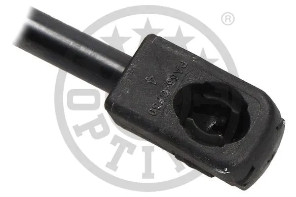 Gas Spring, boot/cargo area