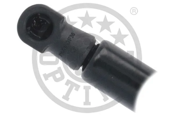 Gas Spring, boot/cargo area