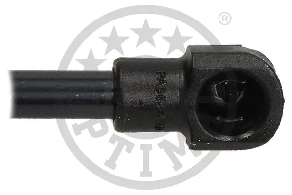 Gas Spring, boot/cargo area