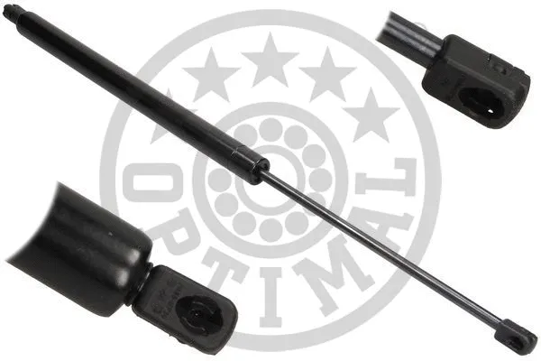 Gas Spring, boot/cargo area (AG-40263)