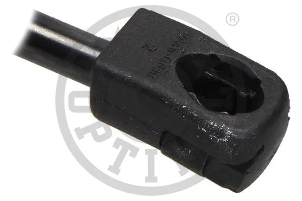 Gas Spring, boot/cargo area