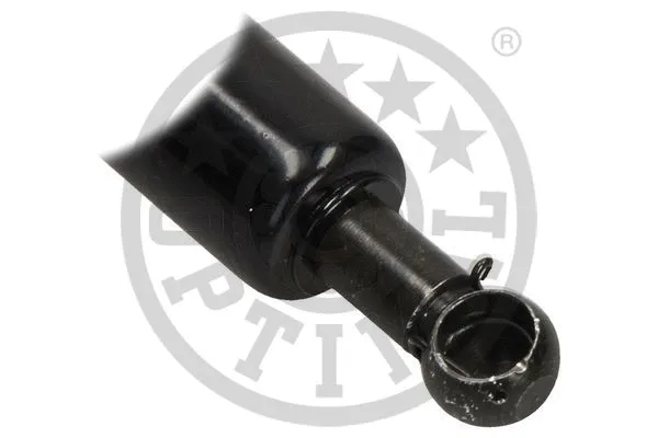 Gas Spring, boot/cargo area