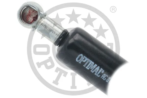 Gas Spring, boot/cargo area